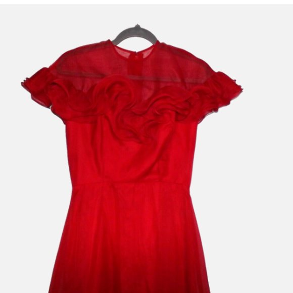 Vintage Red Maxi Dress Southern Bell Sheer Illusion Swiss Sheer Ruffles Size 8 - Picture 2 of 15